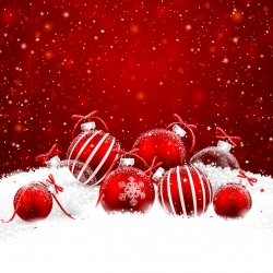 March� de No�l � FERIN (59)